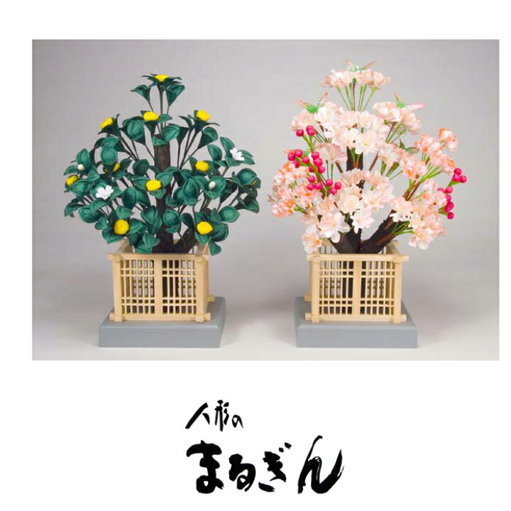 楽天市場】【桜橘セット】35号京高桜【高さおよそ31cm】雛道具 雛道具 