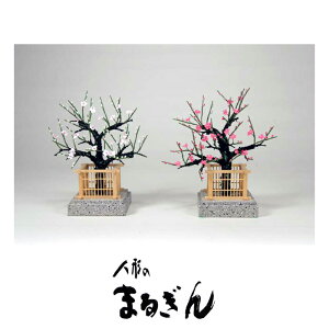 yg~~z璹2y悻18cmz Pi ~̉ ЂȂܓ ЂȂ܂̂