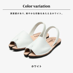 s11/25IP10{tsyV1ʎ܁t[] ی /  T_ [Emma G}] ܌^T_ n ؂ r[`T_ [q[ { Y U[ VRv }S H~ M