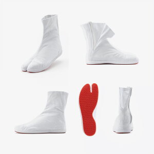 sʏP3{tsyV1ʎ܁t[] ی / Ղ n 22.5`29cm  [Ցt@Xi[] Ղ肽 t@Xi[ EȒP JbvC\[   Y fB[X a Ղpi C