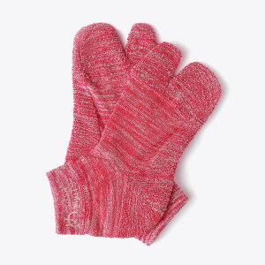 s11/25IP10{t[] ی  C [ASSABOOTSC#01] \bNX ܌^\bNX { Y V[XH R hL  Y fB[X H~  킢 }S MARUGO 5