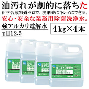  (ꕔL) QgQgꂪIɗ Ɩp AJd pH12.5 Y 4kg×4 AJ ܂̑֕i(  Ɩp ̑֕i) t@[XgAJEH[^[ v