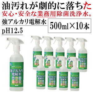  (ꕔL) QgQgꂪIɗ Ɩp AJd pH12.5 Y 500ml×10 AJ ܂̑֕i(  Ɩp ̑֕i) t@[XgAJEH[^[ 