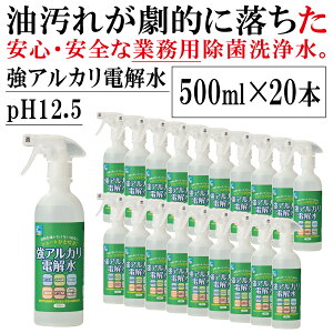  (ꕔL) QgQgꂪIɗ Ɩp AJd pH12.5 Y 500ml×20 AJ ܂̑֕i(  Ɩp ̑֕i) t@[XgAJEH[^[ 