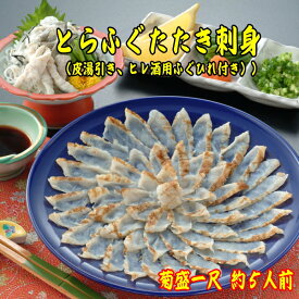 とらふぐたたき刺身 菊盛一尺大皿 約5人前(皮湯引き・ヒレ酒用ふぐひれ付)