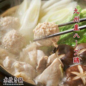 BYn[u{ 2lO×2Zbg(v4lO)Y̓}S߂@Y̕ĕ