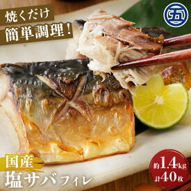 国内産塩サバフィレ ハーフカット20枚入り　2袋さば 鯖 サバ 魚 おかず 国内産 国産 日本海側漁獲 魚介 切り身 塩サバ 塩鯖 フィレ フィーレ 焼き鯖 焼きさば 業務用 食品 サイズ不揃い 送料無料