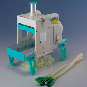 tHƏ dSHIRAGA2000 (c^Cv) Ɩp lMXCT[