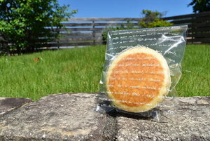 OPPpbN 150×250mm tZ 100 OPP bsO p Ăَq