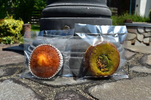 KXoA܃W 120×140mm 100 E_fܑΉ Ăَq }h[k tBiVF bsO 