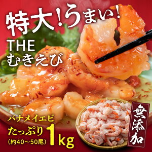 CNw 吷 ނGr oiCGr 1kg i40Cj x TCY g w킽Ȃ Gr ނ Hו Hi  Mtg p p v[g  zO Ⓚ w 