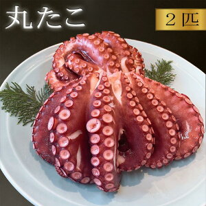 生 タコ 冷凍の人気商品 通販 価格比較 価格 Com