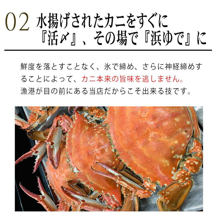 楽天市場 浜ゆで Or 活〆生 ワタリガニ オス 1kg 3 5杯 オリジナル三杯酢付き 大中サイズ 地物 天然 渡り蟹 ガザミ お取り寄せ 氷締め ボイル 愛知県 選べる配送方法 冷蔵or冷凍 ひらめ君のお魚横丁 楽天市場 浜ゆで Or 活〆生 ワタリガニ オス 1kg 3 5杯 オリジナル三杯酢付き 大中サイズ 地物 天然 渡り蟹 ガザミ お取り寄せ 氷締め ボイル 愛知県 選べる配送方法 冷蔵or冷凍 ひらめ君のお魚横丁