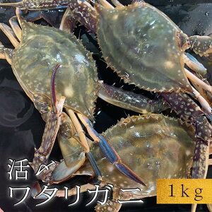 カニ ワタリガニ 活 カニの人気商品 通販 価格比較 価格 Com カニ ワタリガニ 活 カニの人気商品 通販 価格比較 価格 Com