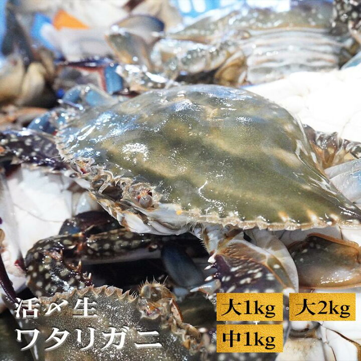 楽天市場】【活〆生】 ワタリガニ オス 大サイズ1kg 2kg 中サイズ1kg 