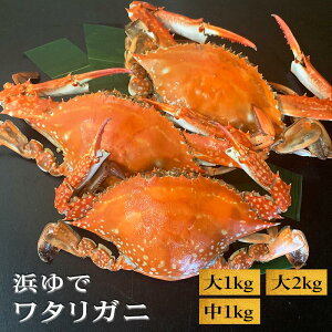 [Iׂ! ① or Ⓚ]^Kj ylŁz IX TCY1kg 2kg TCY1kg Ot|t n VR nI KU~ { m Ll` ďI肩H̓IX _TCY