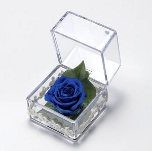 vL[uypNAP[XtϔzvU[uht[/Mtg//o1//͂Ȃ/蕨/䋟/a/ybĝ