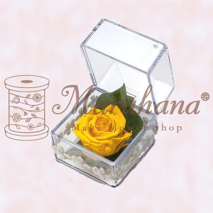 vL[uypNAP[XtϔzvU[uht[/Mtg//o1//͂Ȃ/蕨/䋟/a/ybĝ