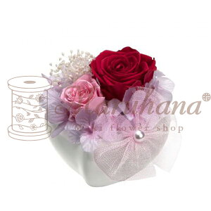 n[g{E@SypNAP[Xt Mtg ͂Ȃ vU[uht[ 蕨 䋟  JƏj JXj ړ]j a Mtg ybĝ ͂Ȃz