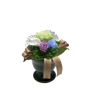  z``pNAP[Xt t^|bgvU vU[uht[/Mtg/͂Ȃ/~/V~/ފ/䋟/ybg