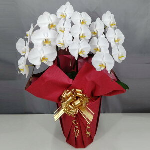  Ӓ 3{18ֈȏiڂݍ݁jyz Mtg Ε JƏj JXj ړ]j a eMtg 