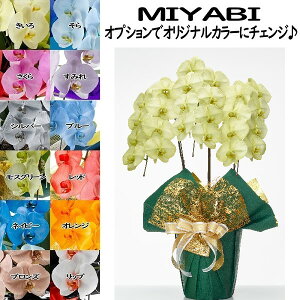 J[Ӓ MIYABI 3{24ֈȏڂݍ݁yz Mtg Ε JƏj JXj ړ]j a eMtg 