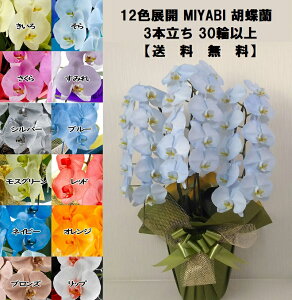 J[Ӓ MIYABI 3{30ֈȏڂݍ݁yz Mtg Ε JƏj JXj ړ]j a eMtg 