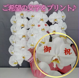 bZ[WӒ3{30ֈȏyz Mtg Ε JƏj JXj ړ]j a eMtg 