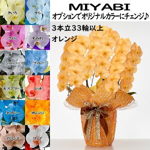 J[Ӓ MIYABI 3{33ֈȏڂݍ݁yz Mtg Ε JƏj JXj ړ]j a eMtg 