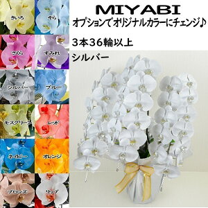 J[Ӓ MIYABI 3{36ֈȏڂݍ݁yz Mtg Ε JƏj JXj ړ]j a eMtg 