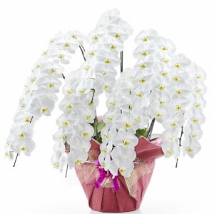  Ӓ7{91ֈȏցiڂݍ݁jyz Mtg Ε ~ JƏj JXj ړ]j a eMtg 