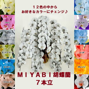 J[Ӓ MIYABI 7{91ֈȏڂݍ݁yz Mtg Ε JƏj JXj ړ]j a eMtg ~ 