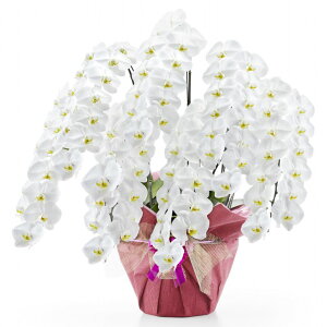  Ӓ7{98ֈȏցiڂݍ݁jyz Mtg Ε ~ JƏj JXj ړ]j a eMtg 