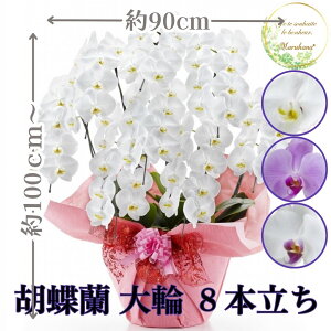  Ӓ8{72ֈȏiڂݍ݁jyzIׂ3F j  ԃMtg a JXj JƏj Vzj