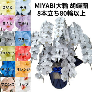 J[Ӓ MIYABI 8{ 80ֈȏڂݍ݁yzӒ u[  Mtg Ε JƏj JXj ړ]j a eMtg ~ 