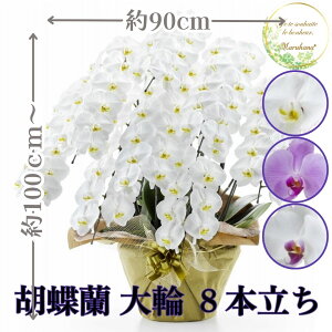  Ӓ8{88ֈȏiڂݍ݁jyzIׂ3F j  ԃMtg a JXj JƏj Vzj