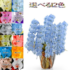 J[Ӓ MIYABI 8{ 64ֈȏڂݍ݁yzӒ u[  Mtg Ε JƏj JXj ړ]j a eMtg ~ 