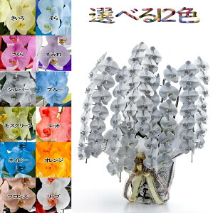 J[Ӓ MIYABI 7{77ֈȏڂݍ݁yz Mtg Ε JƏj JXj ړ]j a eMtg ~ 