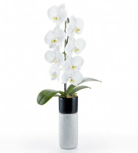 Ӓ  1{ g[Vo[yz Mtg JƏj JXj ړ]j a eMtg 