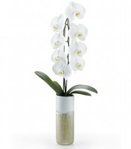 Ӓ  1{ g[S[hyzNX}XMtg Ε  Mtg JƏj JXj ړ]j a eMtg 