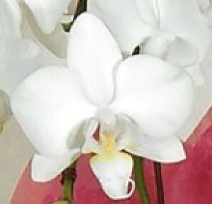 Ӓ@~fB3{27ֈȏiڂݍ݁jyzIׂ4F j  ԃMtg a JXj JƏj Vzj