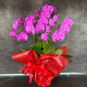 MtgӒ n3{ e[uӒyz ̓ a Mtg