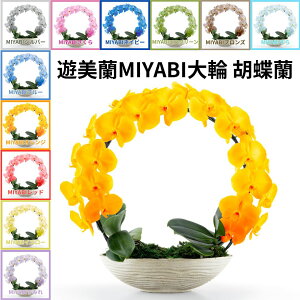 MIYABI�V�����V���[�Y �����O�Ӓ��� 22�ցy���������z�� �M�t�g �J�Əj �J�X�j �ړ]�j�� ���a���� �e��M�t�g ��������