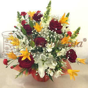 IWit[MtgAWg LyzԃAWg  Mtg