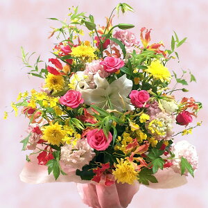 IWit[MtgAWg LLyzԃAWg  Mtg