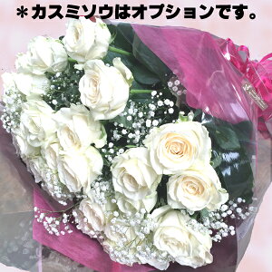 փo20{̉ԑyzjEaɑoԑEzBwIԉԑ  t[ Mtg