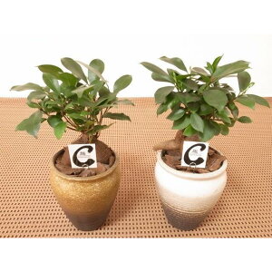 KW}4@픫@ꌊL@1 /yA/ϗtA//JƏj/JXj/ړ]j/a/eMtg/CeA