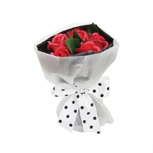 RED bh [Yu[P Sy oXtOX  \[vt[ Mtg   zCgf[̂Ԃw  j j 񎟉z̓