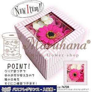 oXt[{bNXAW@CG[y oXtOX  \[vt[ Mtgz