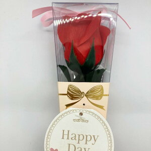 mini kelee ~jP[u[Py oXtOX  \[vt[ Mtg o^C   zCgf[̂Ԃz